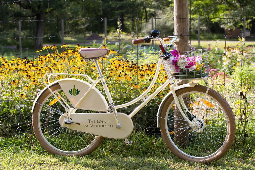 The Lodge At Woodloch Hawley Kültér fotó